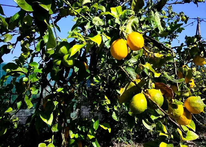 Lägenhet Anesis Aera Luxury *